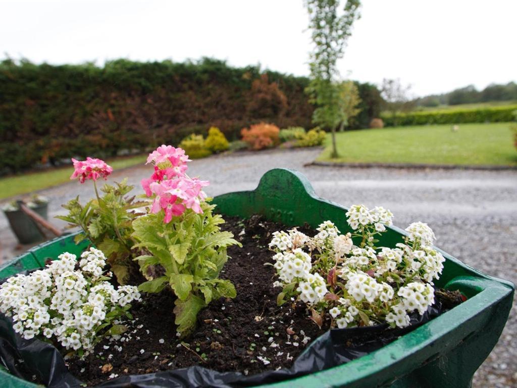 Dun Cromain B&B Banagher Экстерьер фото